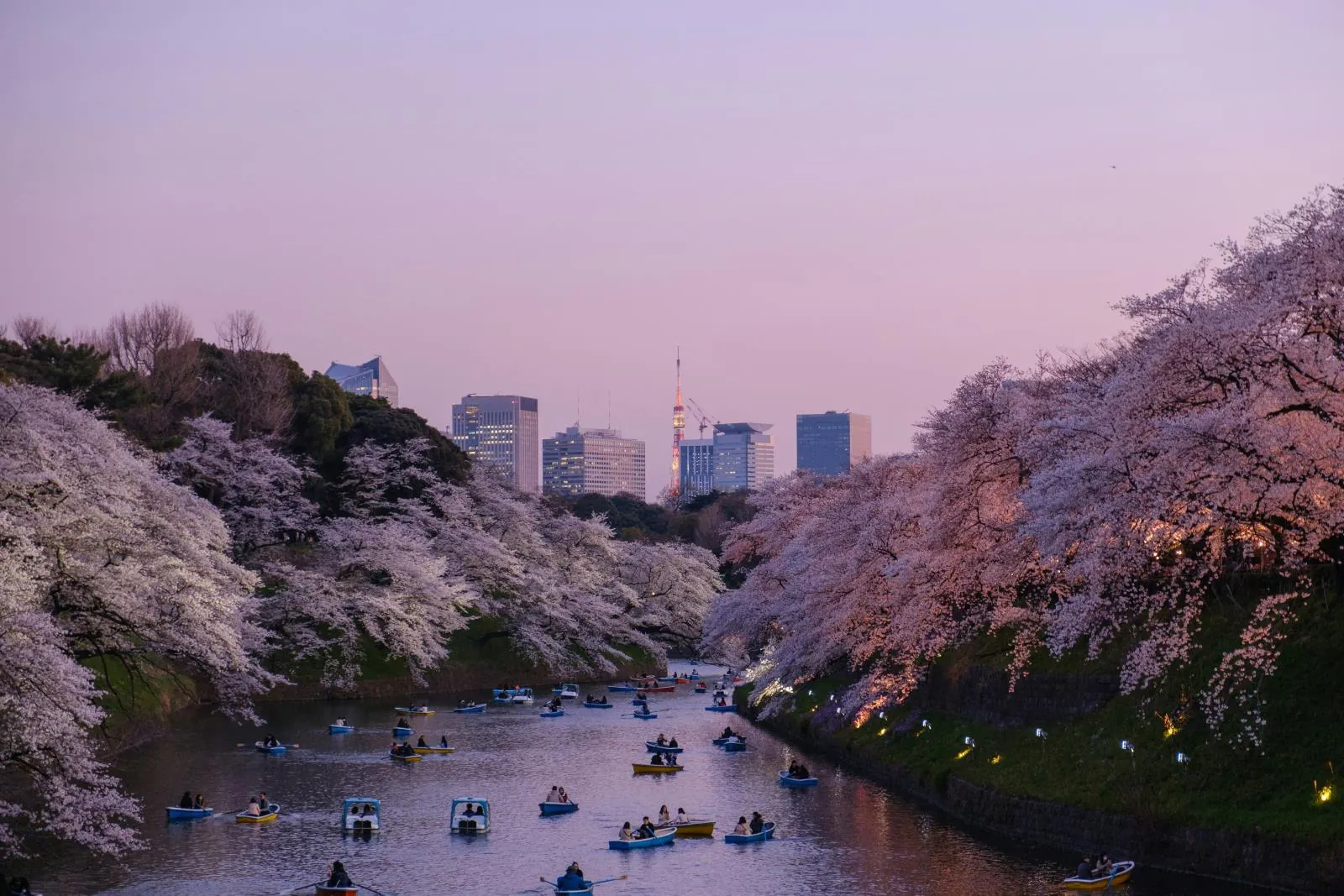 Tokio de noche — cuánto cuesta viajar a Japón