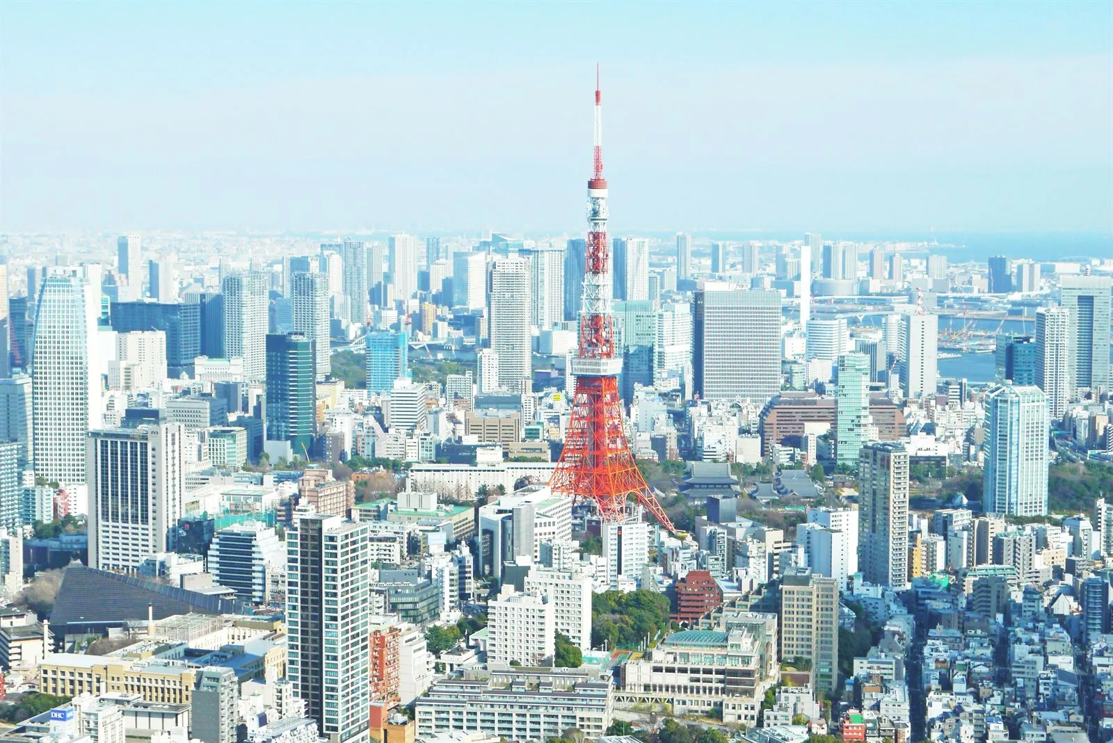 Guía de viaje a Tokio: qué ver, barrios y consejos prácticos